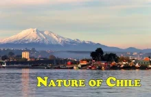 Nature | Chile | Природа | Be Jungle