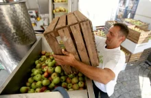 Rosjanie skupują polską żywność. Popyt jest tak duży, że embargo nie działa