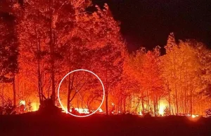 Australia. "Wypalają laserami trasę pod kolej". Wielu w to wierzy