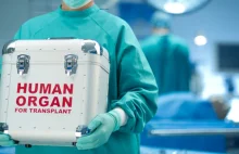 Transplantacja organów i ich ceny na czarnym rynku