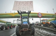 Rolnicy jak święte krowy w biznesie. ARiMR rozda im 866 milionów pomocy na...