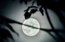 Księżyc Żniwiarzy. Niezwykłe widowisko na niebie