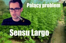 Marihuana - palący problem