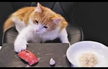 Jak przygotować sushi dla kotów?