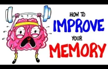Jak skutecznie poprawić swoją pamięć