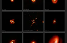 SPHERE pokazuje fascynującą menażerię dysków wokół młodych gwiazd