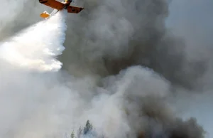 Płoną polskie lasy. Pożarów więcej niż w całym 2017 roku