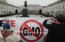 Spór o GMO. Greenpeace popiera ustawę o nasiennictwie i mówi Nie protestom