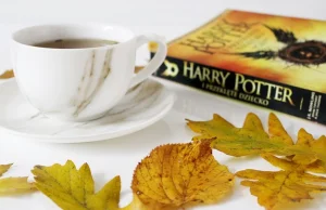 "Harry Potter i Przeklęte dziecko", czy warto przeczytać?