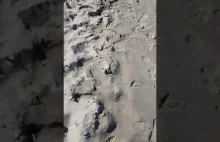 Plaża Mielno po sezonie