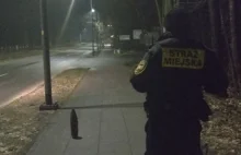 Pocisk artyleryjski na chodniku na gdańskich Stogach