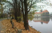 Bulwar Dunikowskiego: Wytną ponad 100 drzew