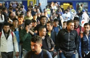 Rząd Polski liberalizuje przepisy imigracyjne