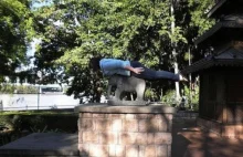 Nowy szał na ulicach - planking - Joe Monster