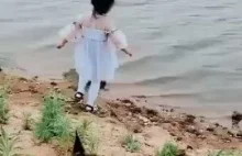 Pies chroni małą dziewczynkę przed wpadnięciem do wody