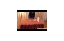 YouTube - Jak ułożyć słonia z ręcznikó
