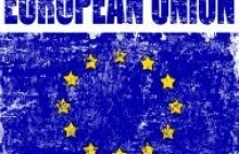 Unijna biurokracja: kolejny przedstawiciel UE do spraw trwonienia pieniędzy