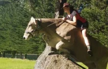 Nie mogła mieć konia więc nauczyła krowę skakać