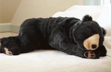 Niedźwiedzi śpiwór warty prawie 10 tysięcy złoty!