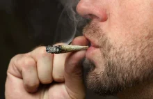 Częste palenie trawki może spowodować uszkodzenie ośrodka przyjemności w mózgu.