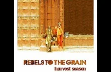 Rebels To the Grain - Whatever You Do