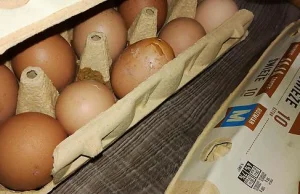 Robaki wyklute w jajkach znajdziesz tylko w Biedronce!