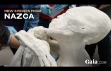 Mumia Nazca z Peru [Video HD]