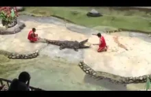 Krokodyl ugryzł mężczyznę w głowę podczas występu