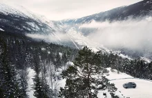 Wesołych Świąt w zgodzie z naturą! Wypożyczalnia choinek.