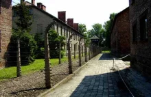 Skandaliczny wizerunek Oświęcimia i byłego obozu Auschwitz w nonsensopedii.