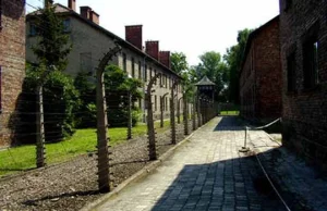 Skandaliczny wizerunek Oświęcimia i byłego obozu Auschwitz w nonsensopedii.