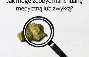 Odpowiadamy na podstawowe pytania związane z marihuaną.