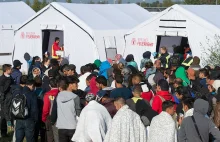 Muzułmańscy uchodźcy w Niemczech. Salafici próbują werbować wyznawców