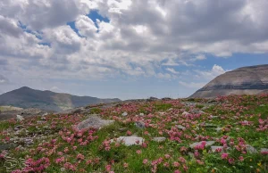 Pireneje - Dolina Ordesy i Monte Perdido - Hasające Zające