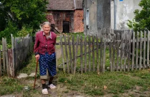 Nie ufam ruchom społecznym