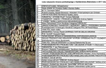 Mamy listę odbiorców drewna z Puszczy Białowieskiej! Publikujemy mapę
