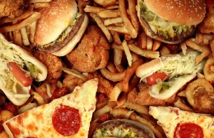 Niezdrowe jedzenie uzależnia