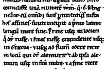 Słynny "Dagome Iudex" spisano zapewne w Rzymie na papirusie