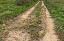 Kradli cegły z zabytkowego dworku i ... łatali nimi dziury w drodze