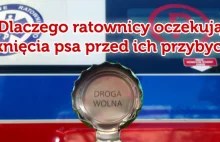 Dlaczego ratownicy medyczni oczekują zamknięcia psa przed ich przybyciem?