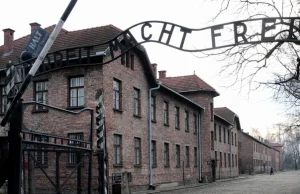 Kontrowersje wobec upamiętnienia w KL Auschwitz