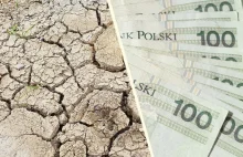 1,5 mld złotych na pomoc suszową dla rolników