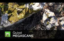 Megascans od Quixel w końcu!