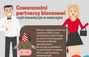 Czworonożni partnerzy biznesowi, czyli inwestycje w zwierzęta - infografika