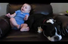 Baby's Fart Surprises Dog