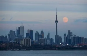 Wieża CN Tower w Toronto 11 listopada rozbłyśnie na biało-czerwono