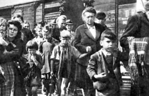 Zdjęcia wypędzonych Niemców?W rzeczywistości to więźniarki niemieckich obozów