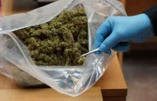 Policja znalazła w samochodzie wracającym z Holandii 18 kg. narkotyków.