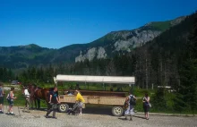 Nad Morskie Oko chodzę piechotą. Czy jednak pojadę bryczką?