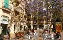Dzielnica Gràcia, Największa Tajemnica Barcelony
